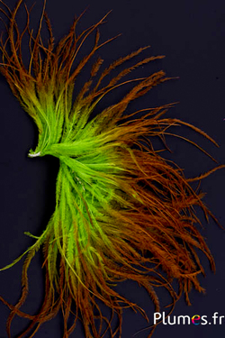 Autruche mèche sans coeur - 10 cm - lime-châtaigne